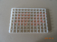 瑞泰88枚雞蛋盤