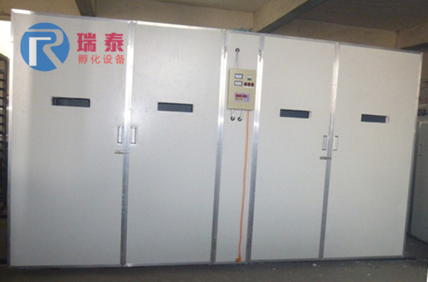 瑞泰19712枚雞蛋孵化機(jī)