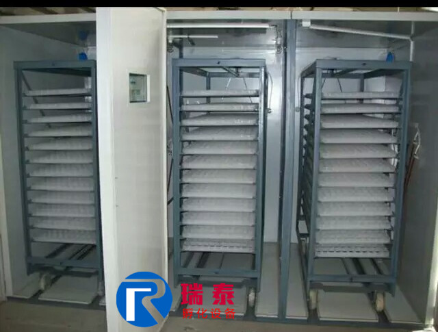 瑞泰12672枚大型孵化機(jī)
