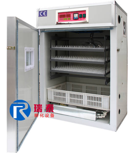 264枚小型孵化機(jī)