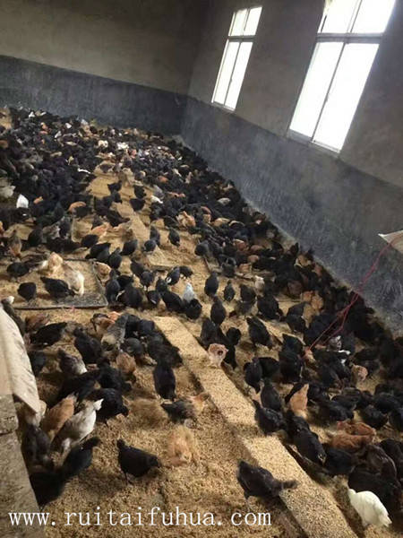 湖北客戶(hù):洪先生