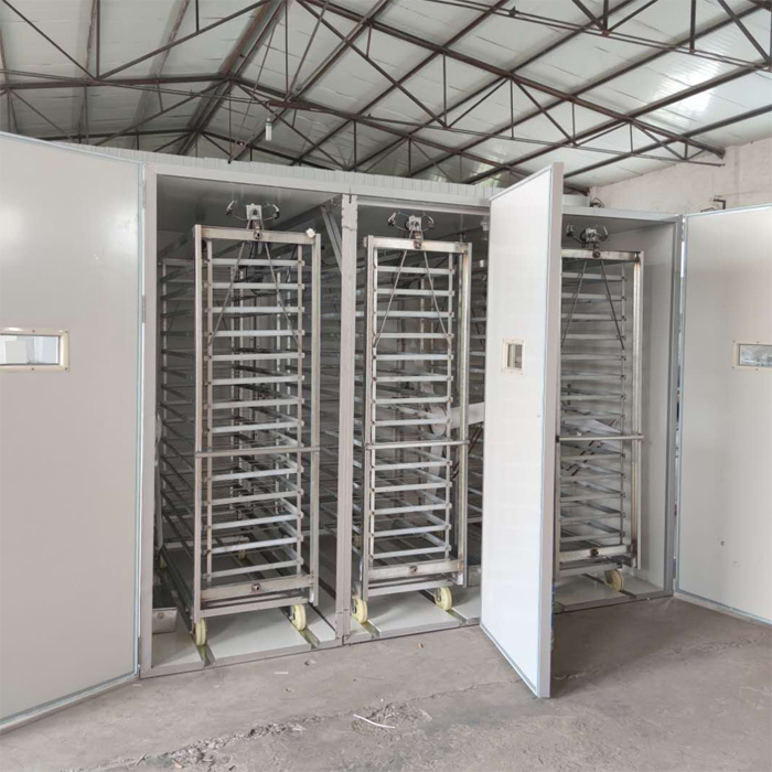 瑞泰16896枚大型孵化機(jī)