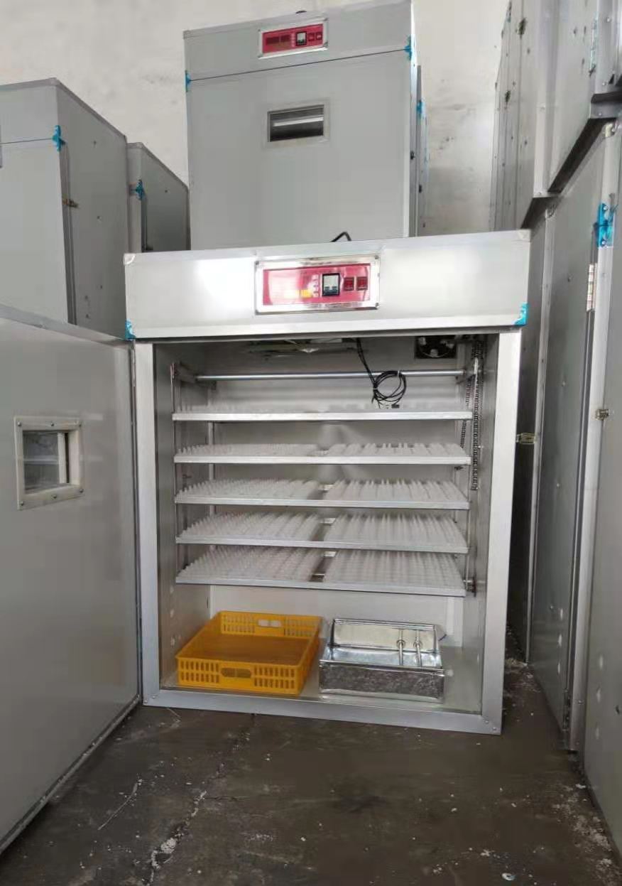 880枚小型孵化機(jī)